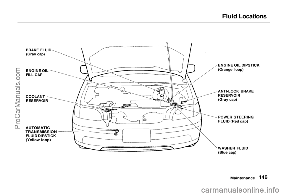 HONDA ODYSSEY 1995  Owners Manual 
Fluid Locations

BRAKE FLUID
 (Gray cap)
ENGINE OIL
 FILL CAP

COOLANT
 RESERVOIR

AUTOMATIC
TRANSMISSION
 FLUID DIPSTICK
(Yellow loop)
 ENGINE OIL DIPSTICK
(Orange loop)
ANTI-LOCK BRAKE
 RESERVOIR
(