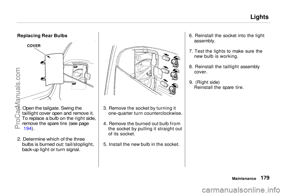 HONDA ODYSSEY 1995  Owners Manual Lights

Replacing Rear Bulbs

1. Open the tailgate. Swing the taillight cover open and remove it.
To replace a bulb on the right side, remove the spare tire (see page
 194).

2. Determine which of the