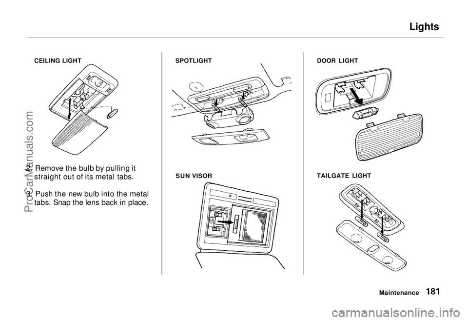 HONDA ODYSSEY 1995  Owners Manual Lights
CEILING LIGHT SPOTLIGHT
2. Remove the bulb by pulling it straight out of its metal tabs.
3. Push the new bulb into the metal tabs. Snap the lens back in place.
 SUN VISOR
DOOR LIGHT
TAILGATE LI