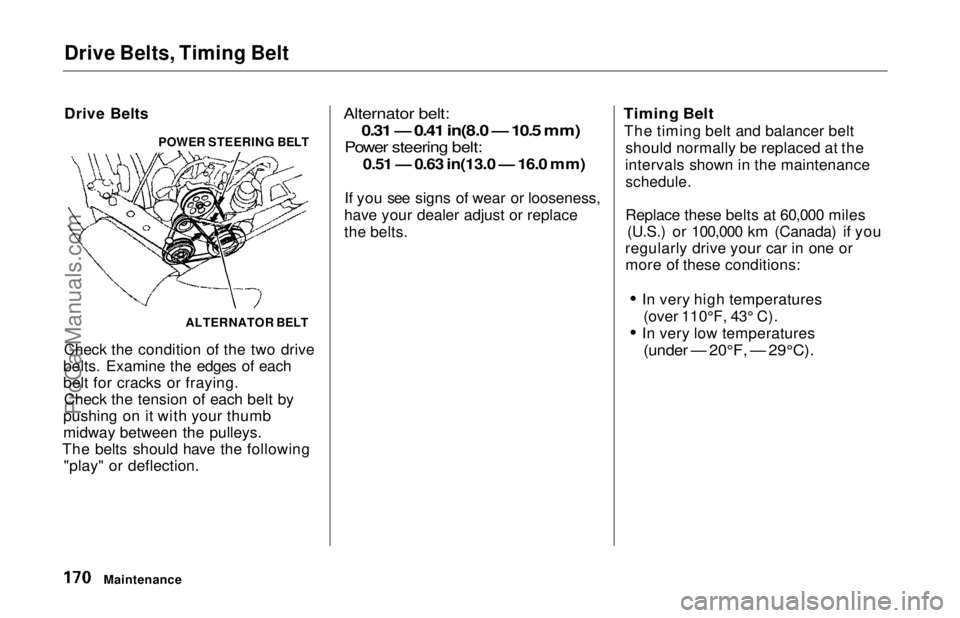 HONDA ODYSSEY 1997  Owners Manual 
Drive Belts, Timing Belt

Drive Belts
Check the condition of the two drive
belts. Examine the edges of each
belt for cracks or fraying. Check the tension of each belt by
pushing on it with your thumb