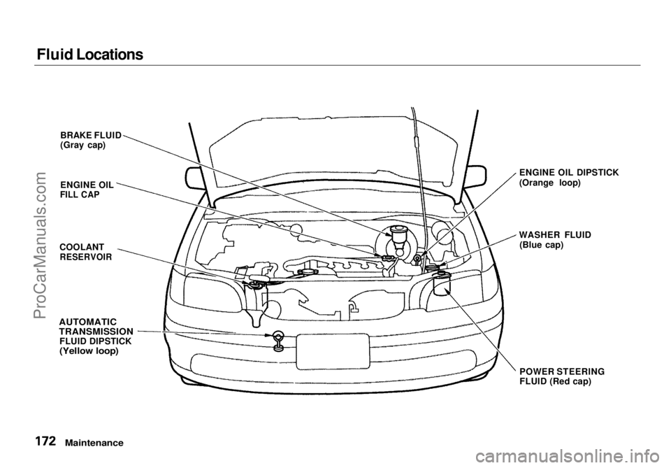 HONDA ODYSSEY 1998  Owners Manual Fluid Locations

Maintenance

BRAKE FLUID
(Gray cap)
ENGINE OIL

FILL CAP

COOLANT
 RESERVOIR

POWER STEERING
FLUID (Red cap)

AUTOMATIC
TRANSMISSION

FLUID DIPSTICK

(Yellow loop)
 WASHER FLUID
(Blue