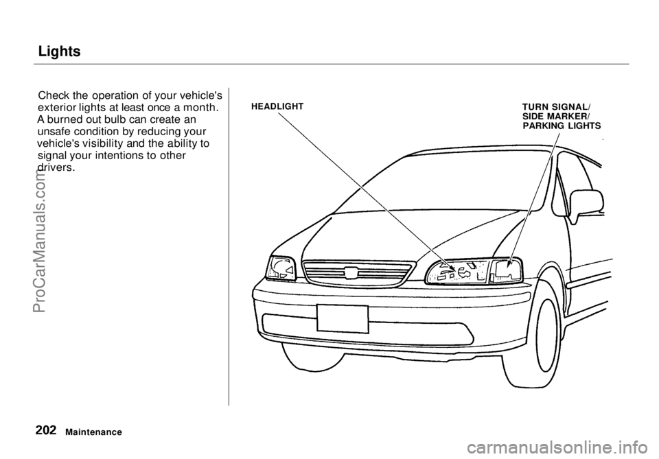 HONDA ODYSSEY 1998  Owners Manual Lights

Check the operation of your vehicle's
exterior lights at least once a month.
A burned out bulb can create an unsafe condition by reducing your
vehicle's visibility and the ability to s