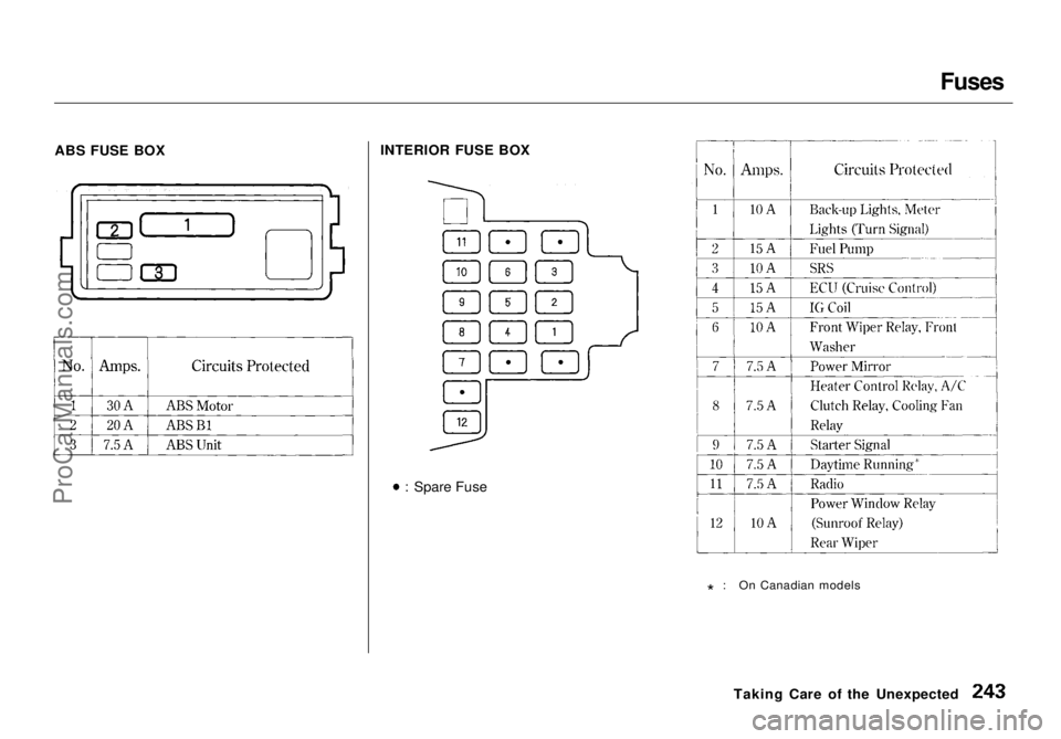 HONDA ODYSSEY 1998  Owners Manual Fuses

ABS FUSE BOX INTERIOR FUSE BOX
: Spare Fuse * : On Canadian models
Taking Care of the UnexpectedProCarManuals.comMain Menu Table of Contents s t   