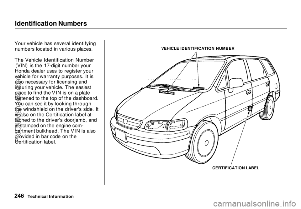 HONDA ODYSSEY 1998  Owners Manual Identification Numbers

Your vehicle has several identifying numbers located in various places.
The Vehicle Identification Number (VIN) is the 17-digit number your
Honda dealer uses to register your
v