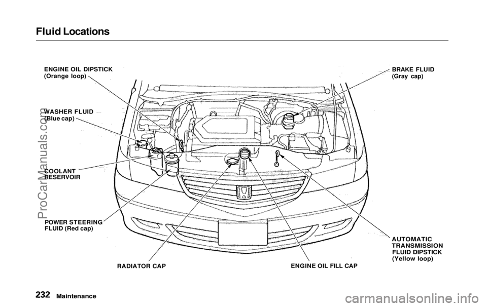 HONDA ODYSSEY 1999  Owners Manual 
Fluid Locations

ENGINE OIL DIPSTICK
(Orange loop)
WASHER FLUID (Blue cap)
COOLANT
RESERVOIR
POWER STEERING
FLUID (Red cap) BRAKE FLUID
(Gray cap)
RADIATOR CAP ENGINE OIL FILL CAP
AUTOMATIC

TRANSMIS