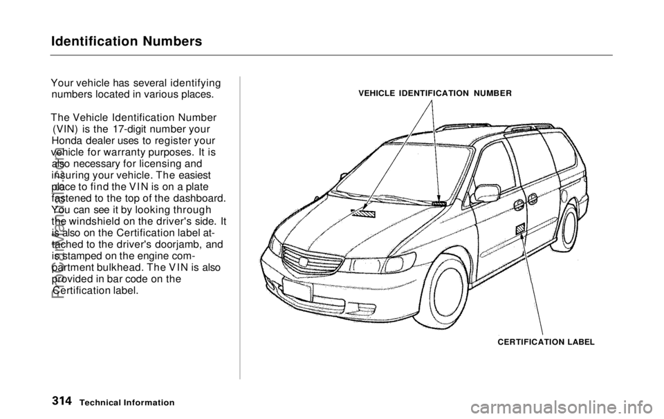 HONDA ODYSSEY 1999  Owners Manual 
Identification Numbers
Your vehicle has several identifying numbers located in various places.
The Vehicle Identification Number (VIN) is the 17-digit number your
Honda dealer uses to register your
v