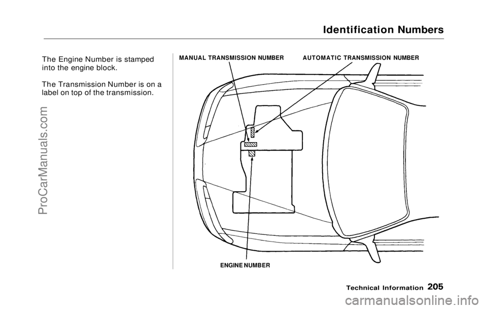 HONDA PRELUDE 1992  Owners Manual 
Identification Numbers
The Engine Number is stamped
into the engine block.
The Transmission Number is on a
label on top of the transmission.

ENGINE NUMBER
Technical Information

MANUAL TRANSMISSION 