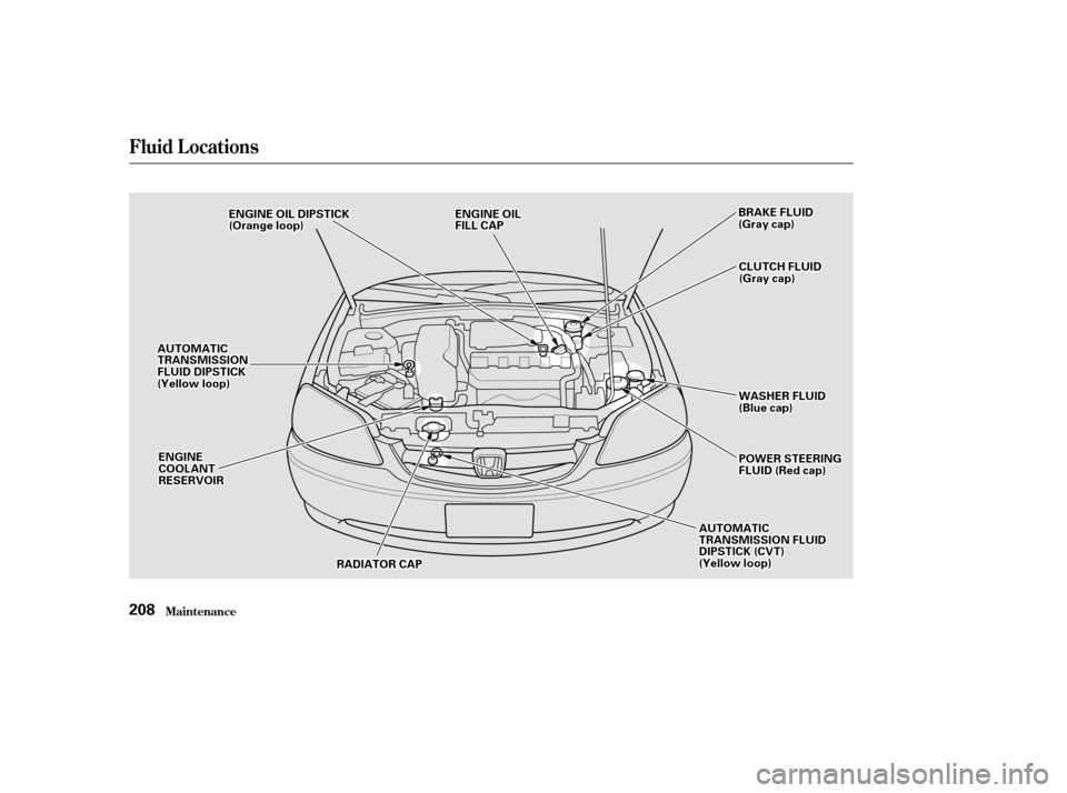 HONDA CIVIC COUPE 2002 7.G Owners Manual Fluid Locations
Maint enance208
CCLLUUTTCCHHFFLLUUIIDD((GGrraayyccaapp))
AAUUTTOOMMAATTIICCTTRRAANNSSMMIISSSSIIOONNFFLLUUIIDDDDIIPPSSTTIICCKK((YYeelllloowwlloooopp))
EENNGGIINNEEOOIILLDDIIPPSSTTIICCKK