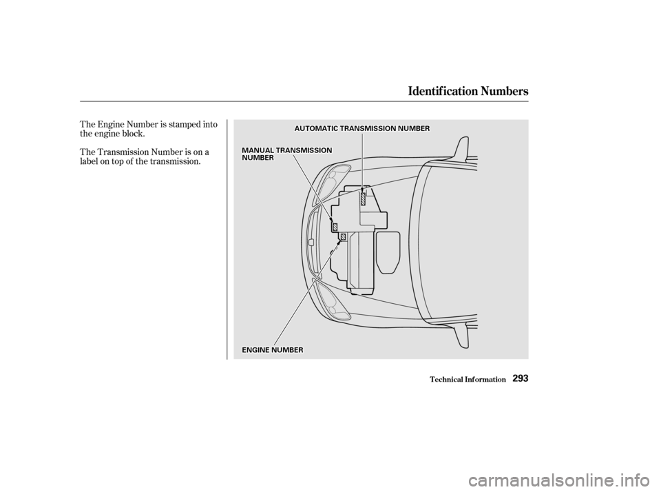HONDA CIVIC COUPE 2002 7.G Owners Manual The Engine Number is stamped into 
the engine block. 
The Transmission Number is on a 
label on top of the transmission.
Identif ication Numbers
T echnical Inf ormation293
EENNGGIINNEENNUUMMBBEERR
MMA