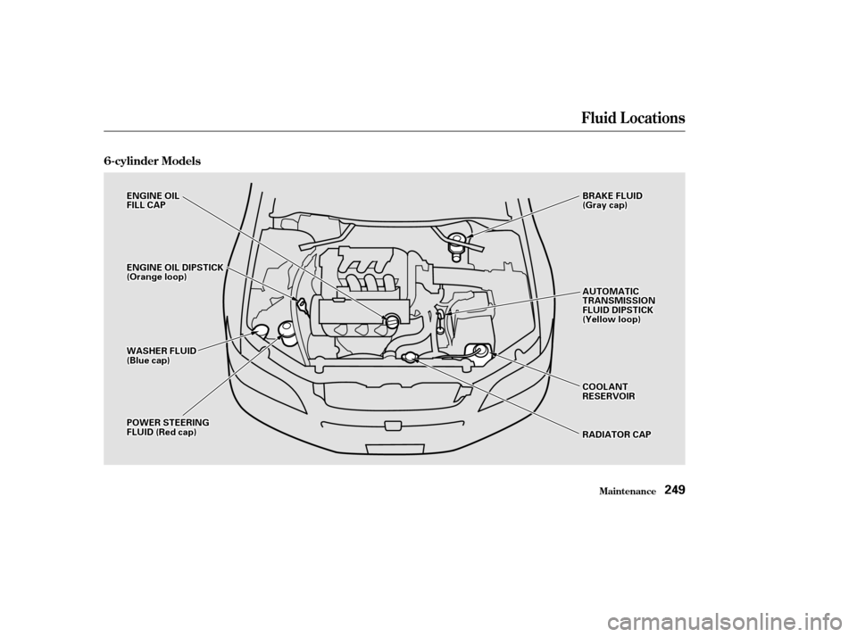 HONDA CIVIC HATCHBACK 2002 7.G Owners Manual Fluid Locations
Maint enance
6-cylinder Models
249
EENNGGIINNEEOOIILLFFIILLLLCCAAPP
PPOOWWEERRSSTTEEEERRIINNGGFFLLUUIIDD((RReeddccaapp))
BBRRAAKKEEFFLLUUIIDD((GGrraayyccaapp))
WWAASSHHEERRFFLLUUIIDD((