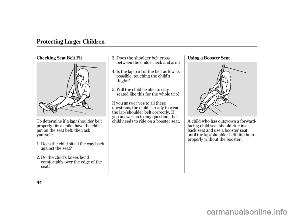 HONDA CIVIC HATCHBACK 2005 7.G Owners Manual To determine if a lap/shoulder belt 
properly f its a child, have the child
put on the seat belt, then ask
yourself :Does the child sit all the way back
against the seat? 
Do the child’s knees bend 