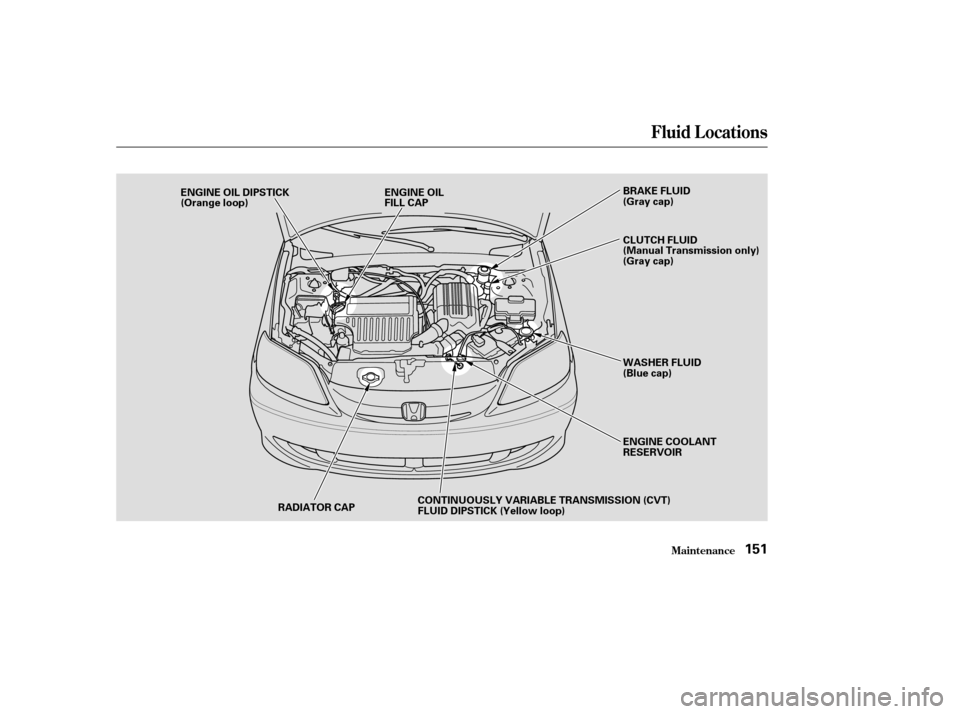 HONDA CIVIC HYBRID 2004 7.G Owners Manual Fluid Locations
Maint enance151
RADIATOR CAP
ENGINE OIL DIPSTICK
(Orange loop)
ENGINE OIL
FILL CAP
CONTINUOUSLY VARIABLE TRANSMISSION (CVT)
FLUID DIPSTICK (Yellow loop) BRAKE FLUID
(Gray cap)
WASHER F