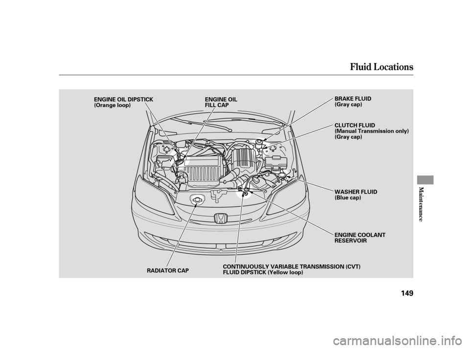 HONDA CIVIC HYBRID 2005 7.G Owners Manual Fluid Locations
Maint enance
149
RADIATOR CAP
ENGINE OIL DIPSTICK
(Orange loop)
ENGINE OIL
FILL CAP
CONTINUOUSLY VARIABLE TRANSMISSION (CVT)
FLUID DIPSTICK (Yellow loop) BRAKE FLUID
(Gray cap)
WASHER 