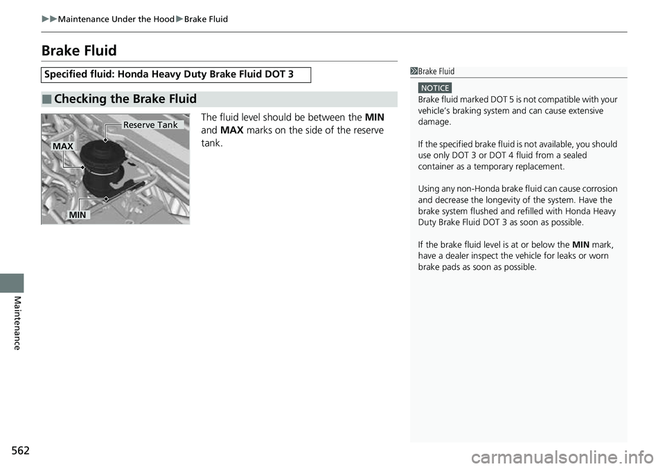 HONDA ACCORD 2022  Owners Manual 562
uuMaintenance Under the Hood uBrake Fluid
Maintenance
Brake Fluid
The fluid level should be between the  MIN 
and  MAX  marks on the side of the reserve 
tank.
Specified fluid: Honda Heavy  Duty B