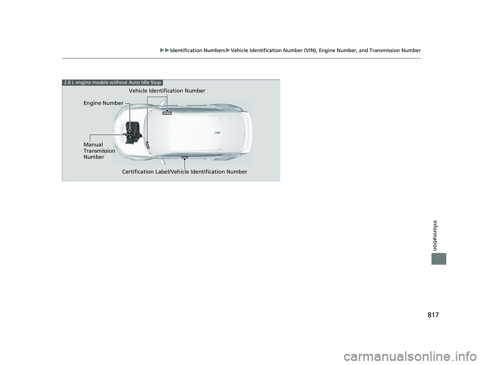 HONDA CIVIC 2023  Owners Manual 817
uuIdentification Numbers uVehicle Identification Number (VIN), Engine Number, and Transmission Number
Information
2.0 L engine models without Auto Idle Stop
Engine Number Vehicle Identification Nu