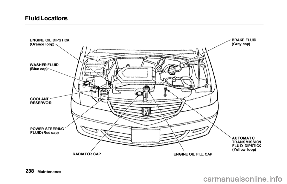HONDA ODYSSEY 2000 RA6-RA9 / 2.G Owners Manual Fluid Location s
Maintenanc e
ENGINE  OI L DIPSTIC K
(Orang e  loop )
WASHE R FLUI D
(Blu e cap )
COOLAN T
RESERVOI R
POWER  STEERIN GFLUID (Re d cap )
RADIATO R  CA P
ENGINE OI L  FIL L CA P AUTOMATI