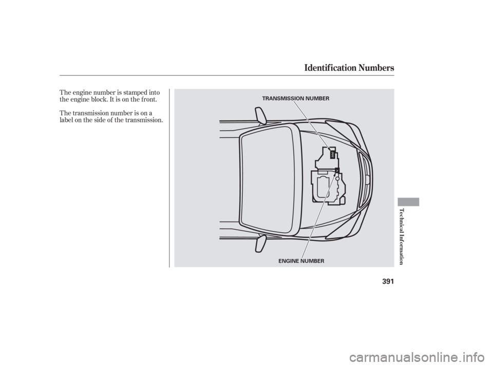 HONDA ODYSSEY 2006 RB1-RB2 / 3.G Owners Manual The engine number is stamped into
the engine block. It is on the f ront.
The transmission number is on a
label on the side of the transmission.
Identif ication Numbers
Technical Inf ormation
391
TRANS