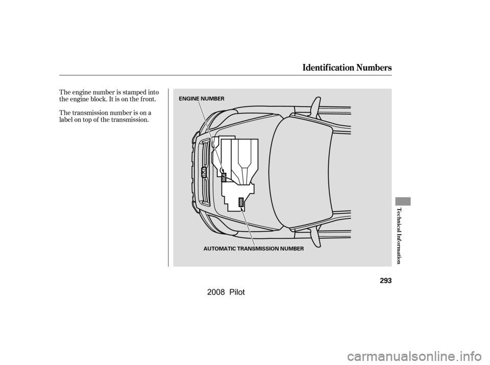 HONDA PILOT 2008 1.G Owners Manual The transmission number is on a 
label on top of the transmission. 
The engine number is stamped into 
the engine block. It is on the f ront.
Identif ication Numbers
Technical Inf ormation
293
ENGINE 