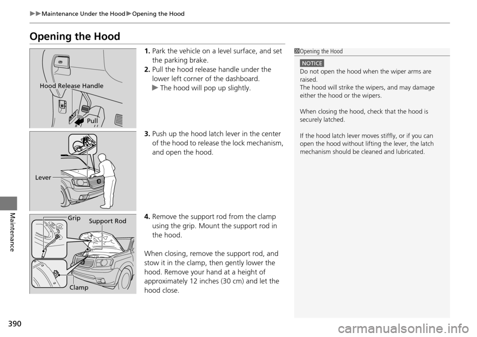 HONDA PILOT 2015 2.G Owners Manual 390
uuMaintenance Under the Hood uOpening the Hood
Maintenance
Opening the Hood
1. Park the vehicle on a level surface, and set
the parking brake.
2. Pull the hood release handle under the
lower lef HONDA PILOT 2015 2.G Owners Manual 390
uuMaintenance Under the Hood uOpening the Hood
Maintenance
Opening the Hood
1. Park the vehicle on a level surface, and set
the parking brake.
2. Pull the hood release handle under the
lower lef