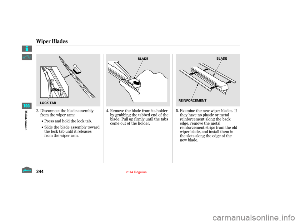 HONDA RIDGELINE 2014 1.G Owners Manual Remove the blade f rom its holder
by grabbing the tabbed end of the
blade. Pull up f irmly until the tabs
come out of the holder.Examine the new wiper blades. If
they have no plastic or metal
reinforc