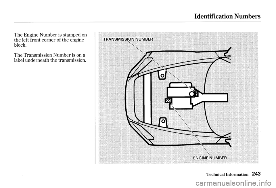 HONDA S2000 2000 1.G Owners Manual The Engine Number  is stamped on 
the  left  front  corner of the engine 
block. 
The Transmission  Number is on  a 
label  underneath  the transmission. 
Identification  Numbers 
Technical Informatio
