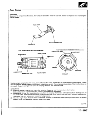 Page 262