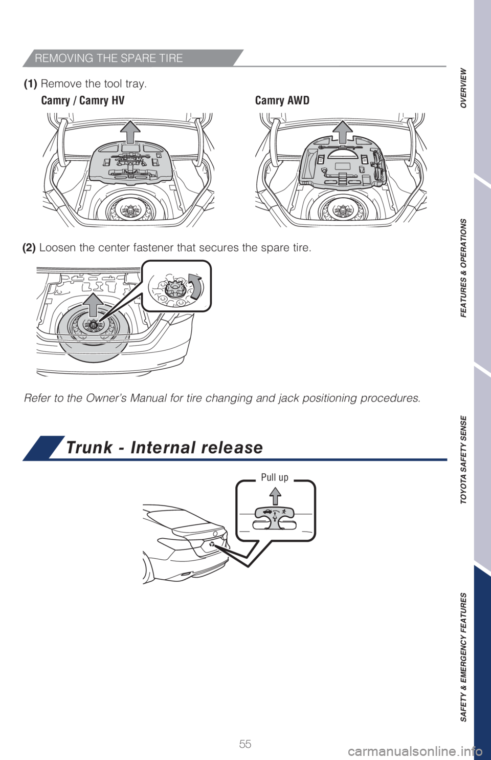 TOYOTA CAMRY HYBRID 2021  Owners Manual (in English) 55
OVERVIEW FEATURES & OPERATIONS TOYOTA SAFETY SENSE SAFETY & EMERGENCY FEATURES
REMOVING THE SPARE TIRE
(1) Remove the tool tray.
Refer to the Owner’s Manual for tire changing and jack positioning