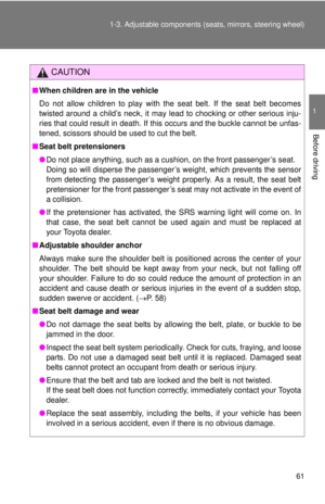 Page 61