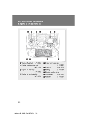 Page 224