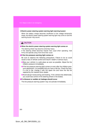 Page 300