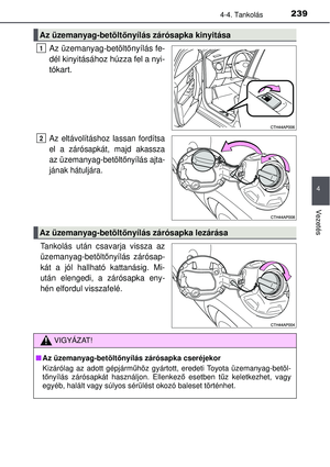 Page 239