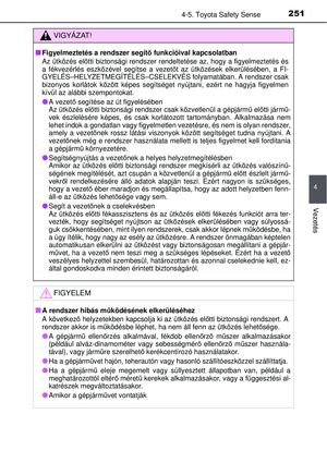 Page 251