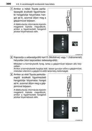 Page 300