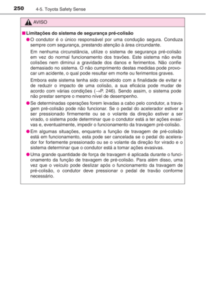 Page 251