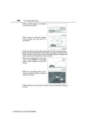 Page 262