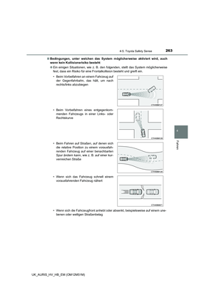 Page 263