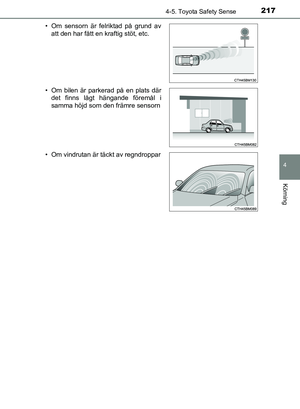 Page 217