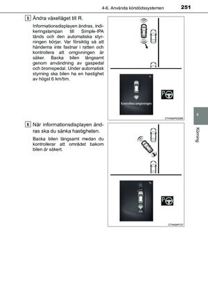 Page 251