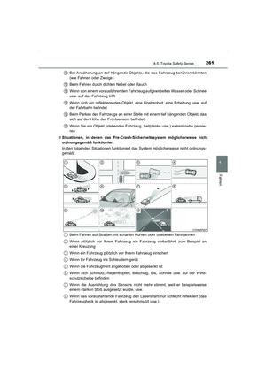 Page 261