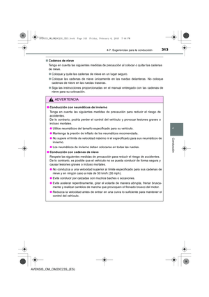 Page 313