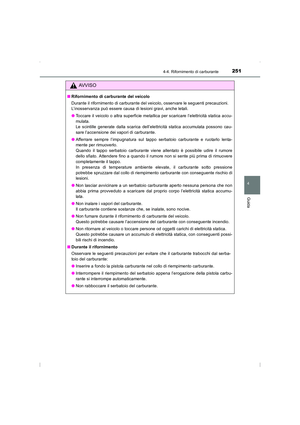 Page 251