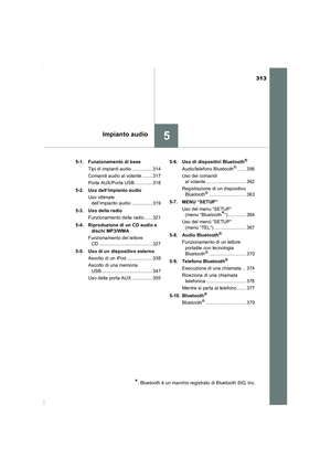 Page 313