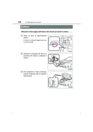 Page 446