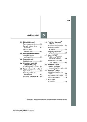 Page 307