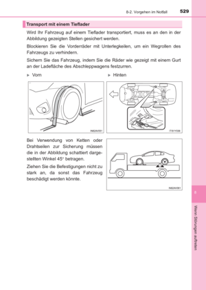 Page 529