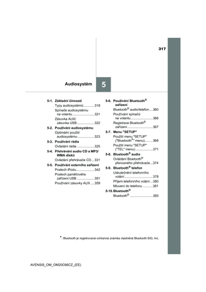 Page 317