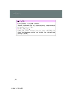 Page 250