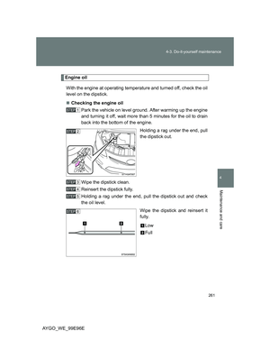 Page 261