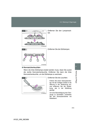 Page 313
