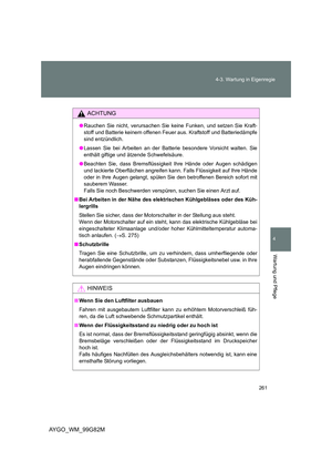 Page 261
